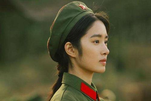 娱乐圈黑暗文,揭秘明星背后的残酷真相