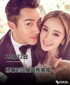 娱乐圈吃瓜全集解说