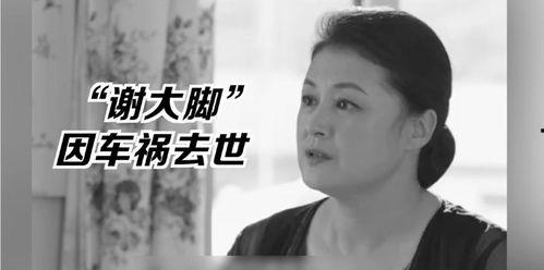 娱乐圈的吃瓜影帝全文免费版